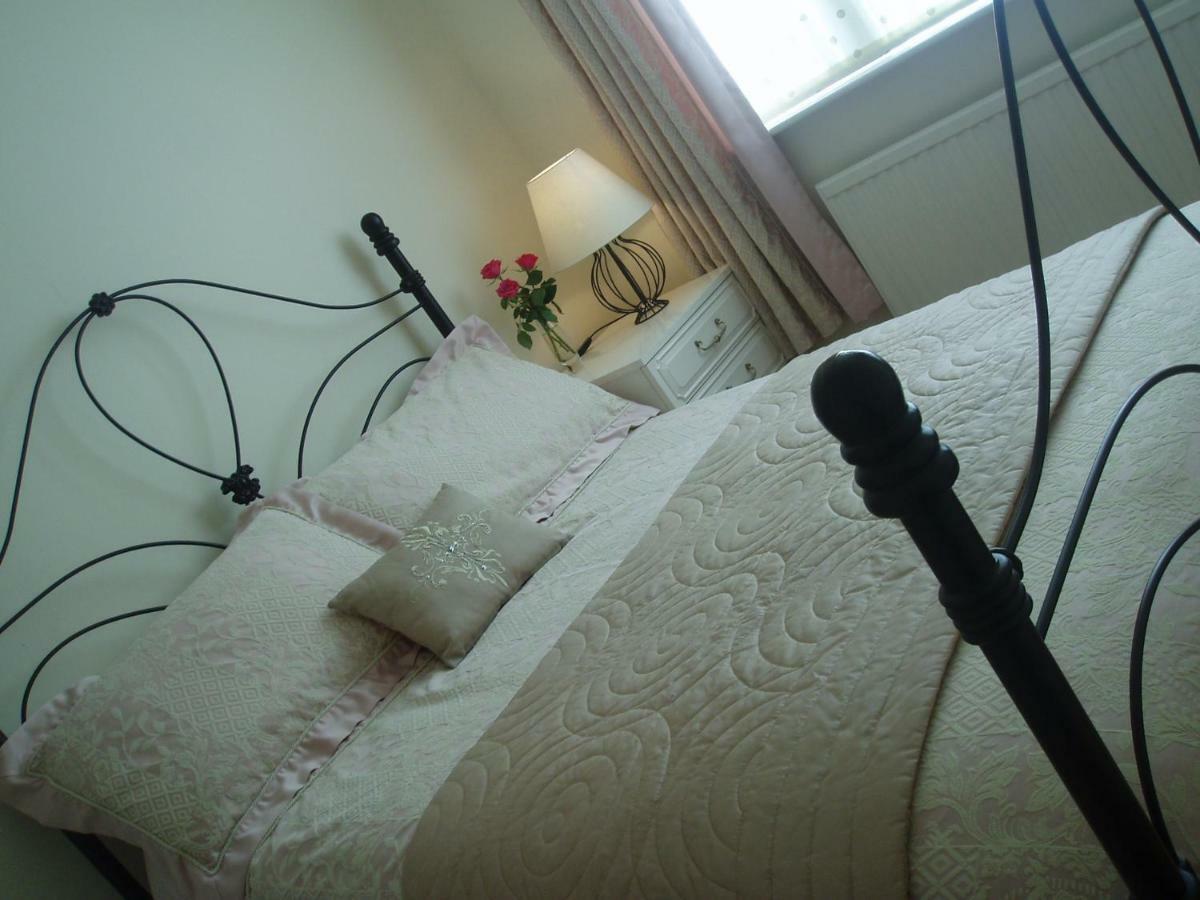 Copper Beech Rooms New Quay Eksteriør billede