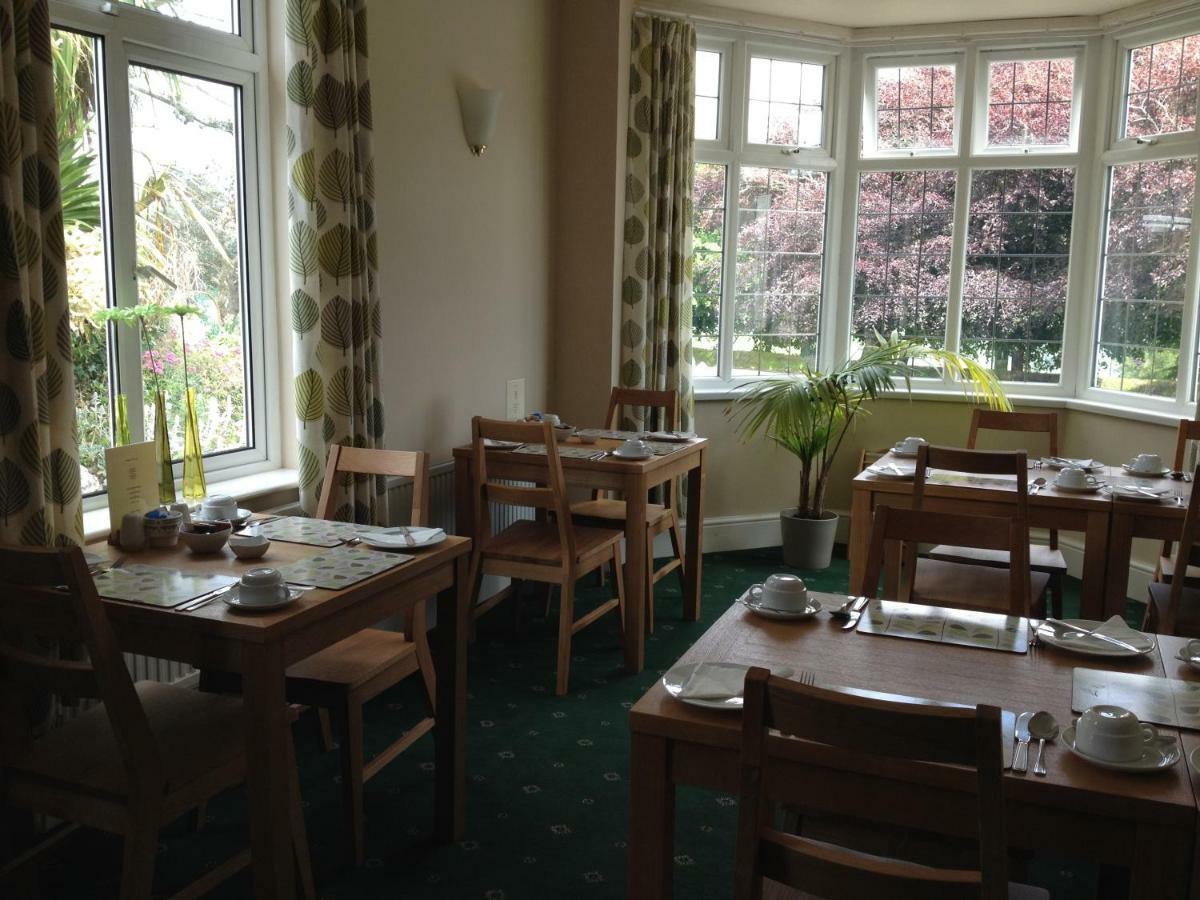 Copper Beech Rooms New Quay Eksteriør billede